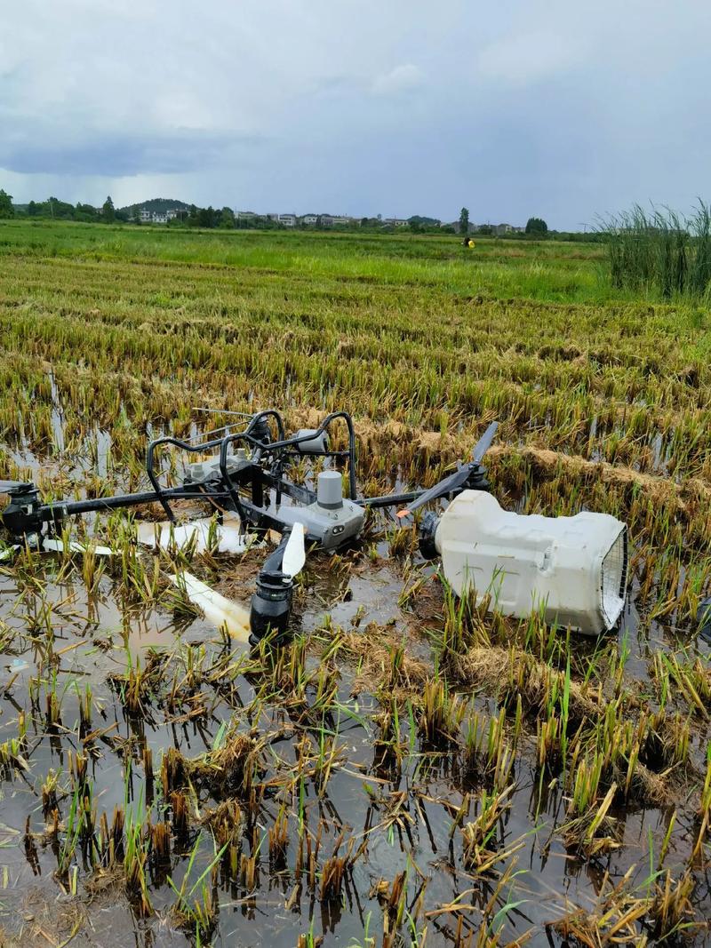 无人机直播洗澡，边界在哪？-图2