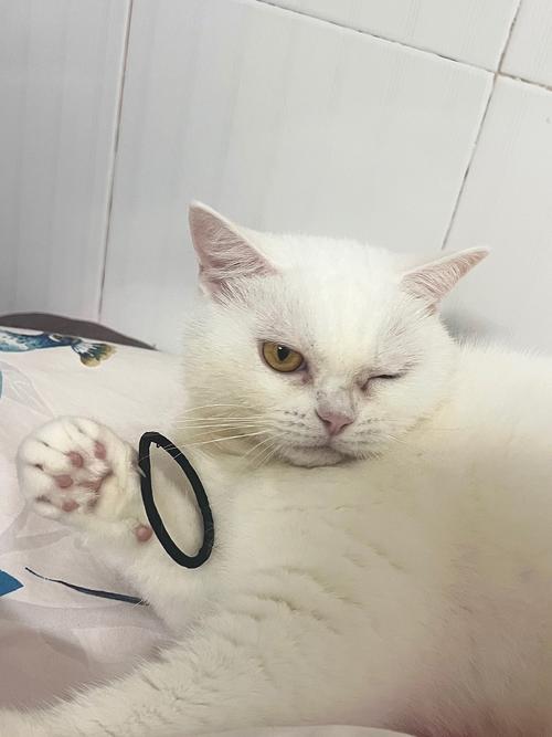 网络语wink啥意思?-图2 网络语wink啥意思?-图2