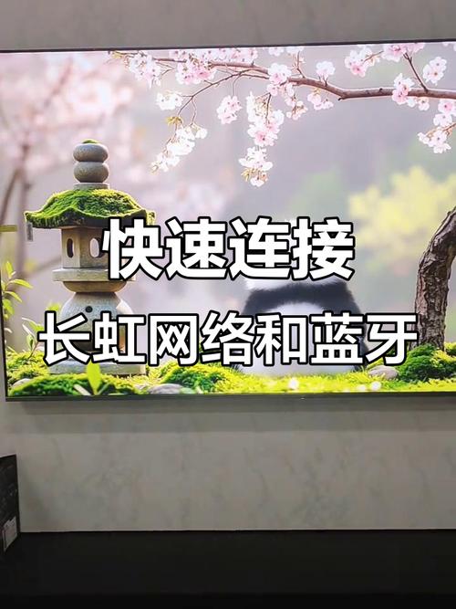 长虹网络电视连接网络步骤是怎样的?-图3 长虹网络电视连接网络步骤是怎样的?-图3