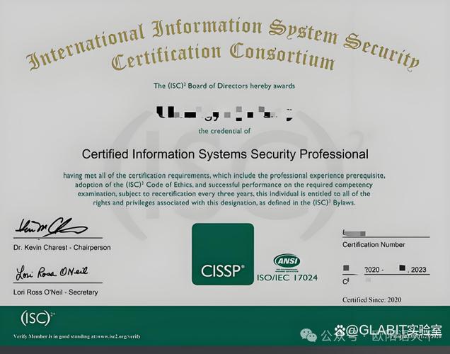 2025 it技术证书-图1