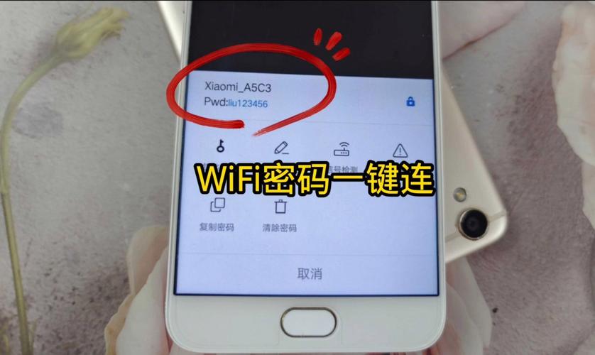 网络密钥就是WiFi密码吗？-图1