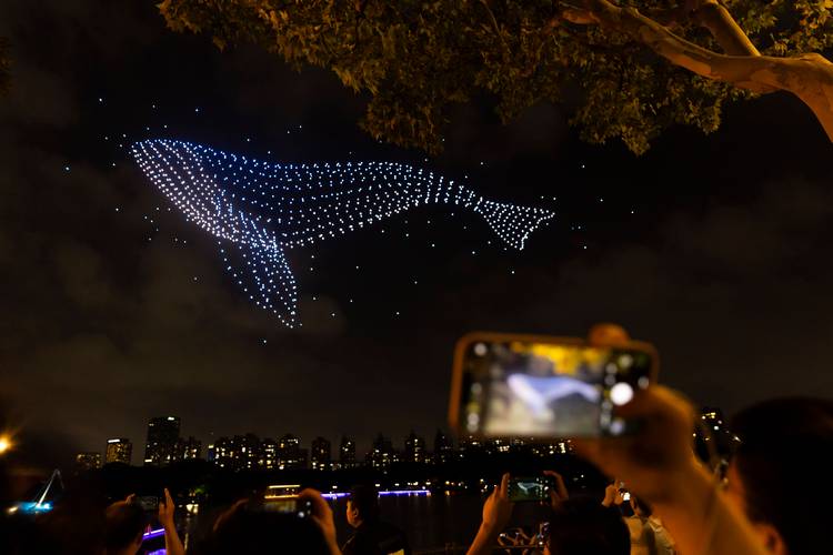 夜空的白色无人机灯，是何物在闪烁？-图1