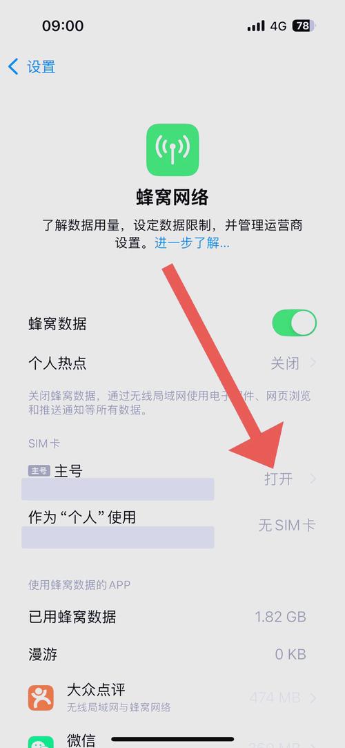 苹果手机怎样设置4g网络-图2