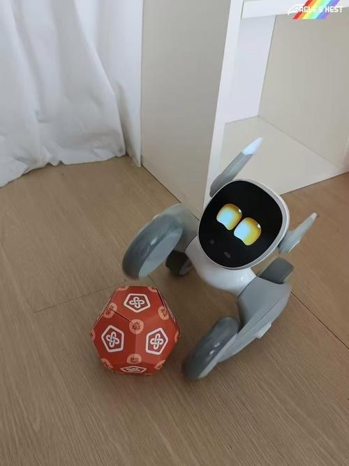 无人机用宠物人脸识别，能准确认出主子吗？-图1