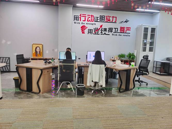 四川速宝网络科技有限公司是做什么的？-图2