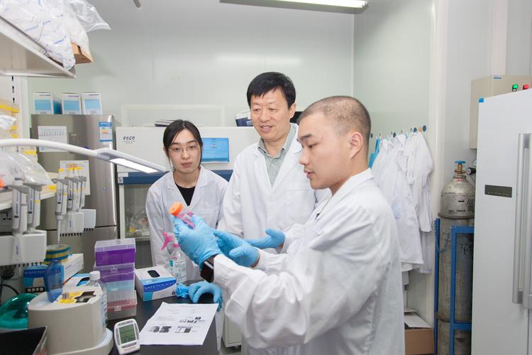 Sybase技术专家的核心能力是什么?-图2 Sybase技术专家的核心能力是什么?-图2