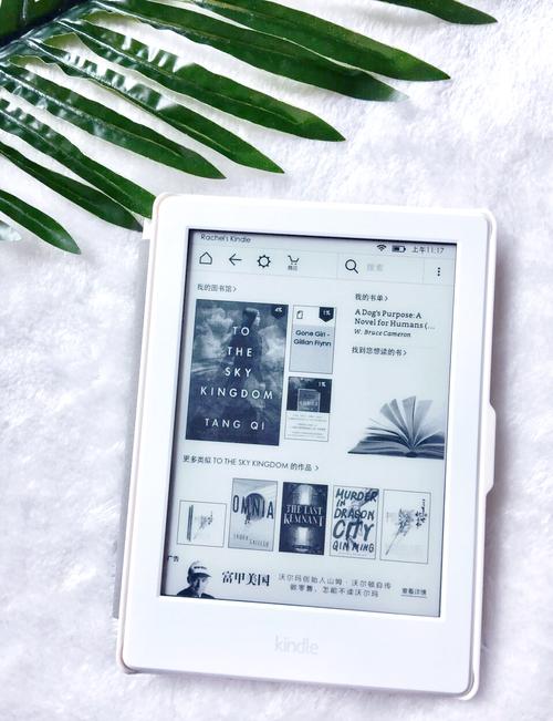 Kindle屏幕技术有何独特优势？-图2