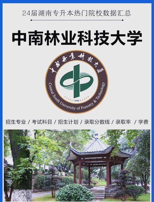 中南林业科技大学网络是什么？-图1