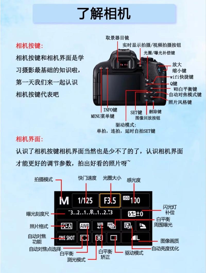 摄影入门需掌握哪些核心技术？-图1
