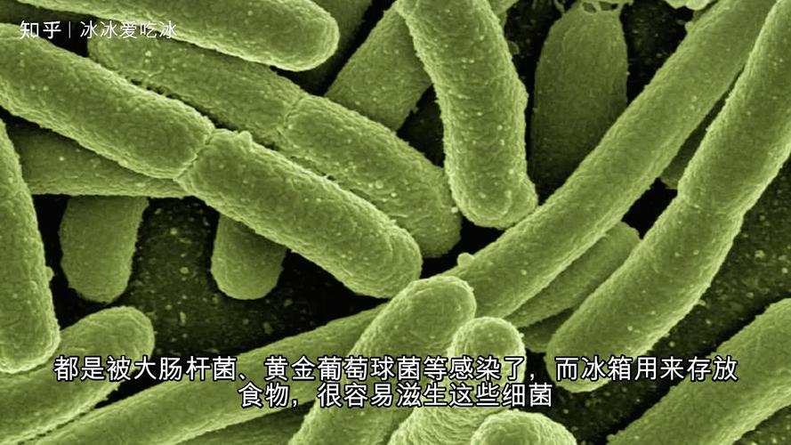 冰箱TABT杀菌技术真的安全有效吗？-图2