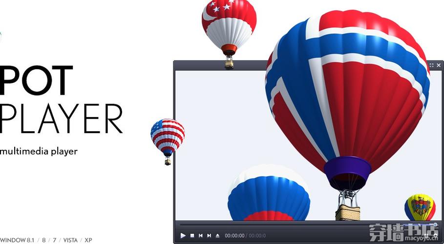 PotPlayer网络功能怎么用？-图2