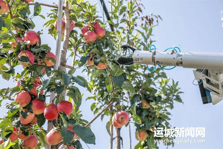 苹果技术支持岗位需要哪些核心能力?-图1 苹果技术支持岗位需要哪些核心能力?-图1