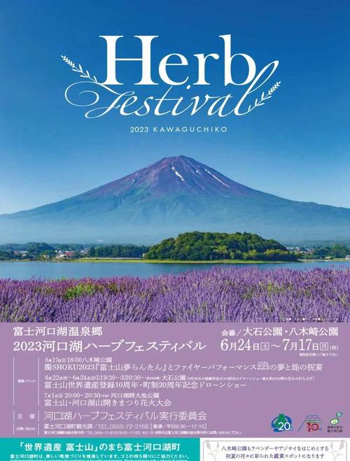 日本富士山无人机编队-图3