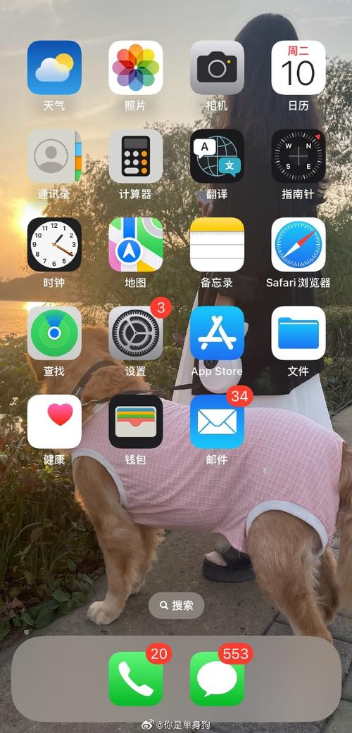 iPhone手机网络怎么优化？-图1