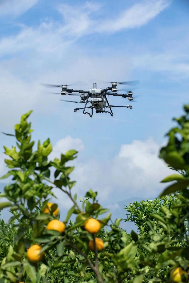 保植无人机不能喷果树-图1