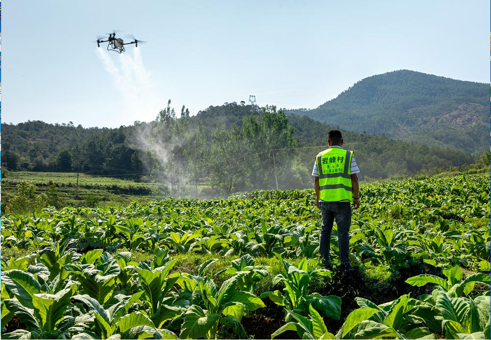 保植无人机不能喷果树-图2