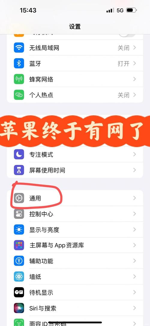 苹果手机怎么切换3G网络？-图3