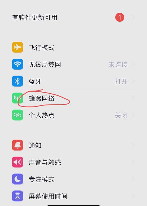 iPhone如何打开网络？-图1