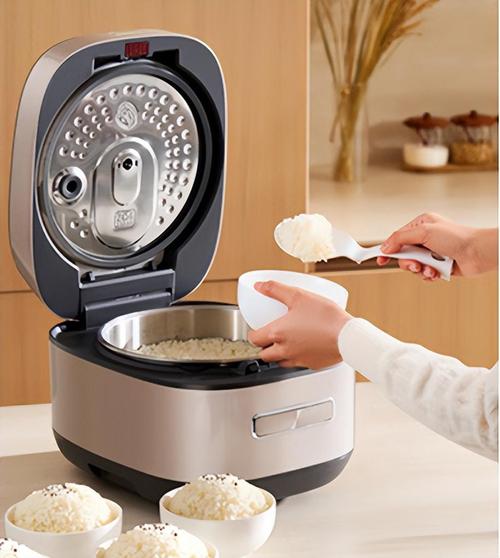 现在什么电饭煲技术好-图3 现在什么电饭煲技术好-图3