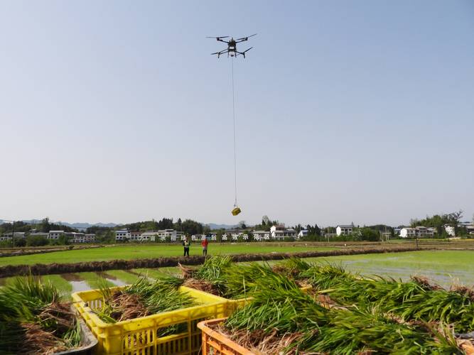 水稻喷药无人机价格是多少?-图3 水稻喷药无人机价格是多少?-图3