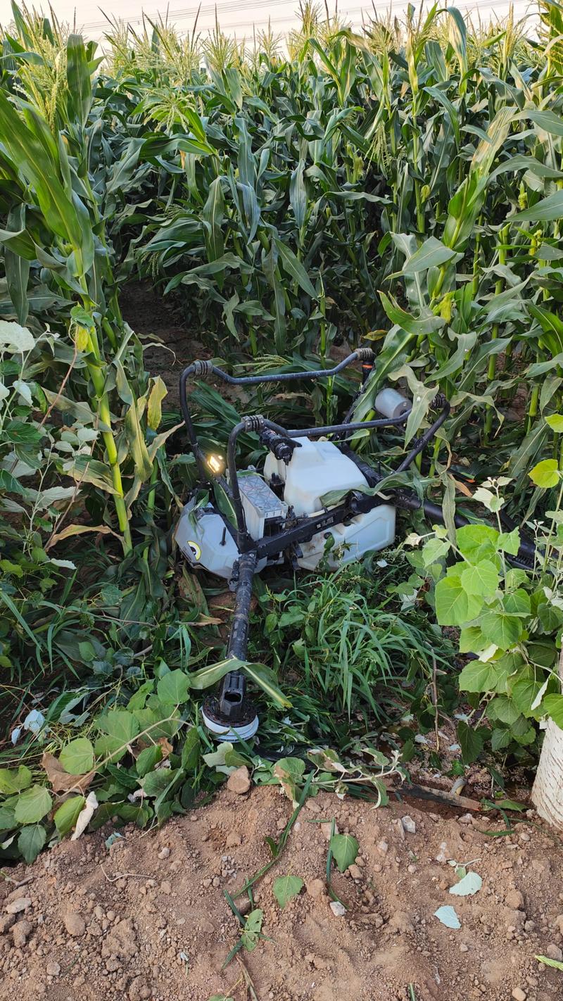 无人机落在树上怎么办-图1