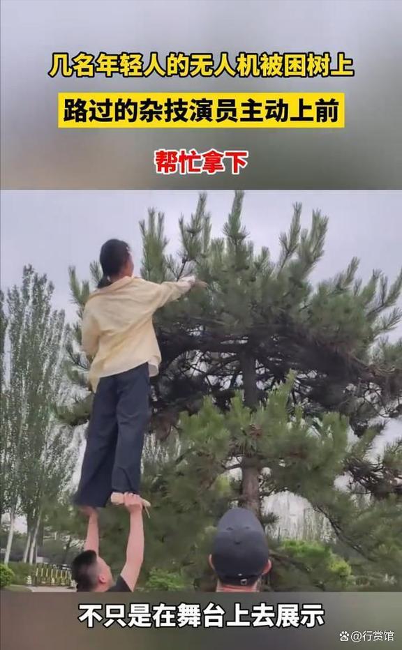 无人机落在树上怎么办-图3