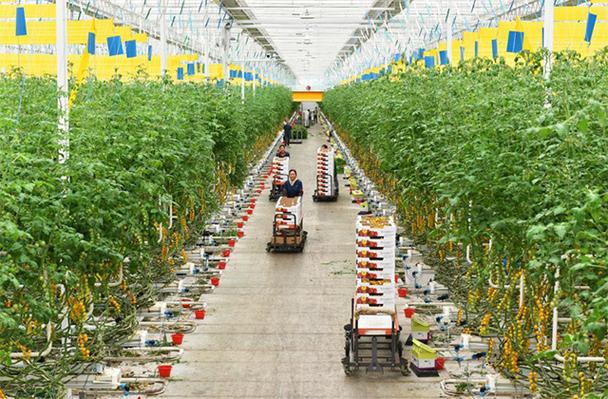 乌克兰生物农业技术有何突破？-图3