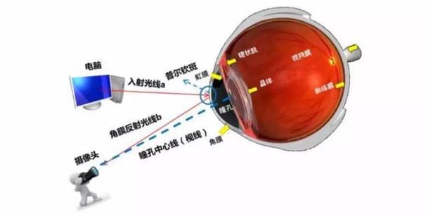 眼球追踪技术怎么开启？-图1