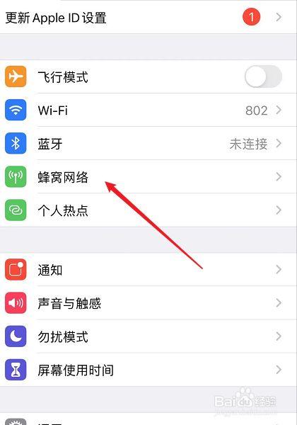 苹果手机4G网络怎么调？-图1