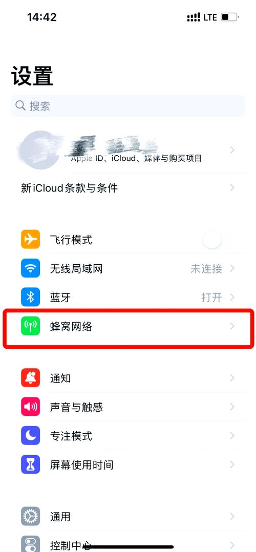 苹果手机4G网络怎么调？-图2