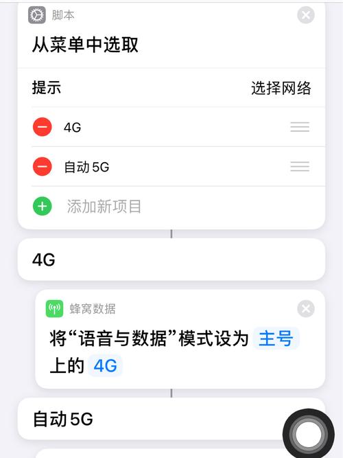 苹果手机4G网络怎么调？-图3
